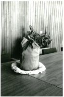 pictures/1972/1972-oprichting